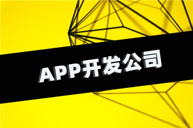 云南临沧手机app开发公司做一款app要多久
